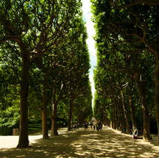 Nature-Paris (2).jpg